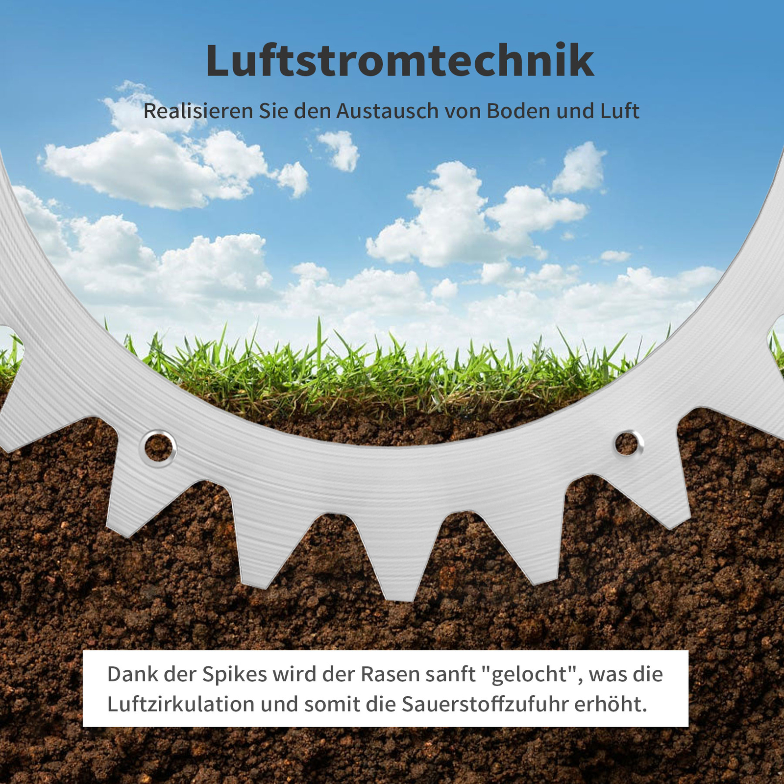 Bild 5 von 10