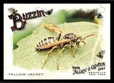 2024 Topps Allen & Ginter Baseball #BUZ-13 Buzzin' Yellow Jacket