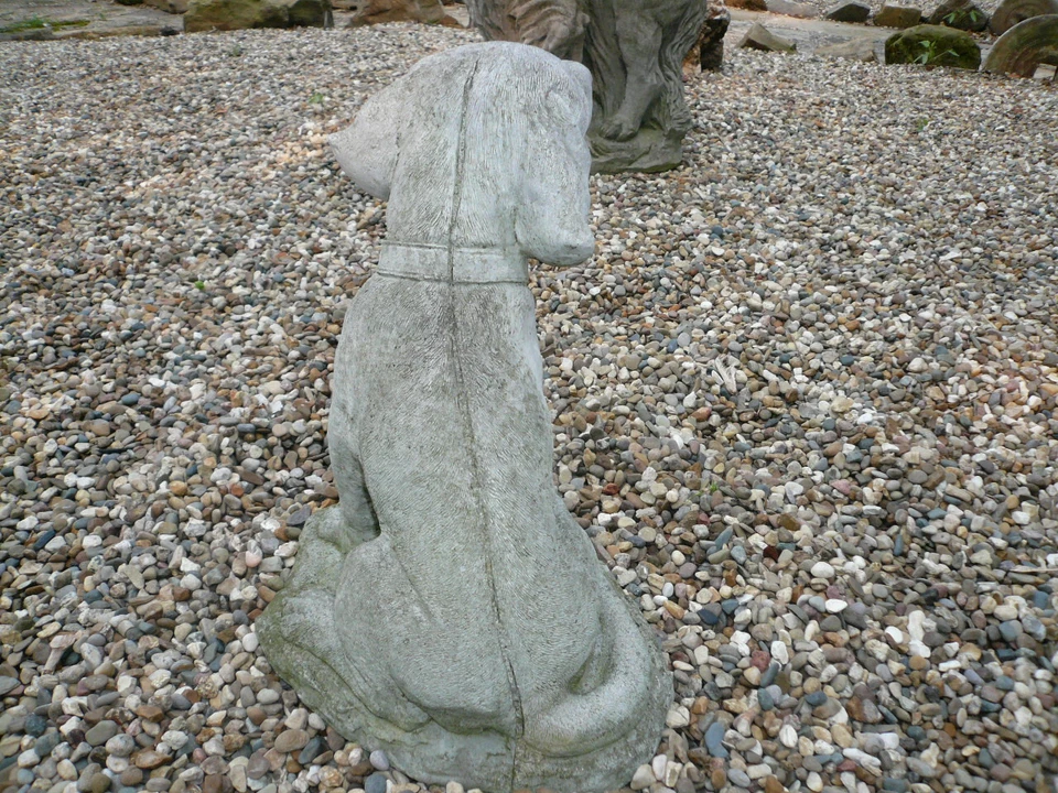 REGAL YOUNG HUNTING DOG VINTAGE CEMENT/CONCRETE GARDEN ORNAMENT 15" TALL - Image 4 of 4