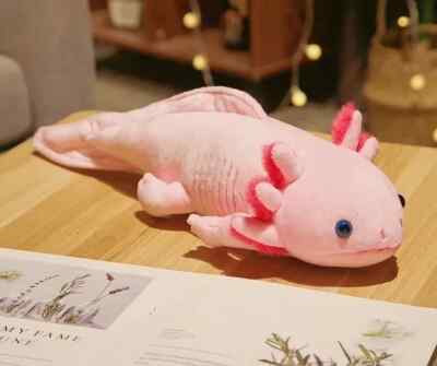 Pink Axolotl Ambystoma 17 Inch Stuffed Animal Plush Toys Pillow Kids Doll  Gifts