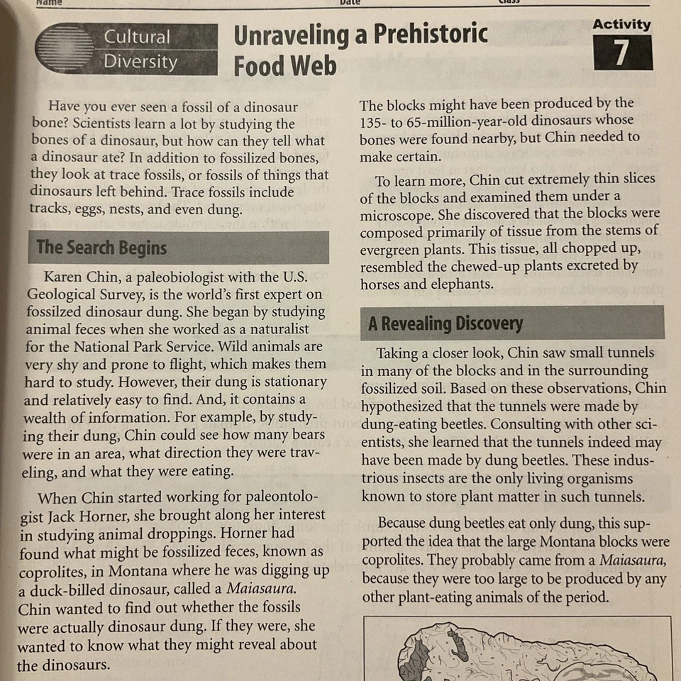 Cultural Diversity Activities for Science Glencoe Workbook Teaching Resource - Image 3 of 4