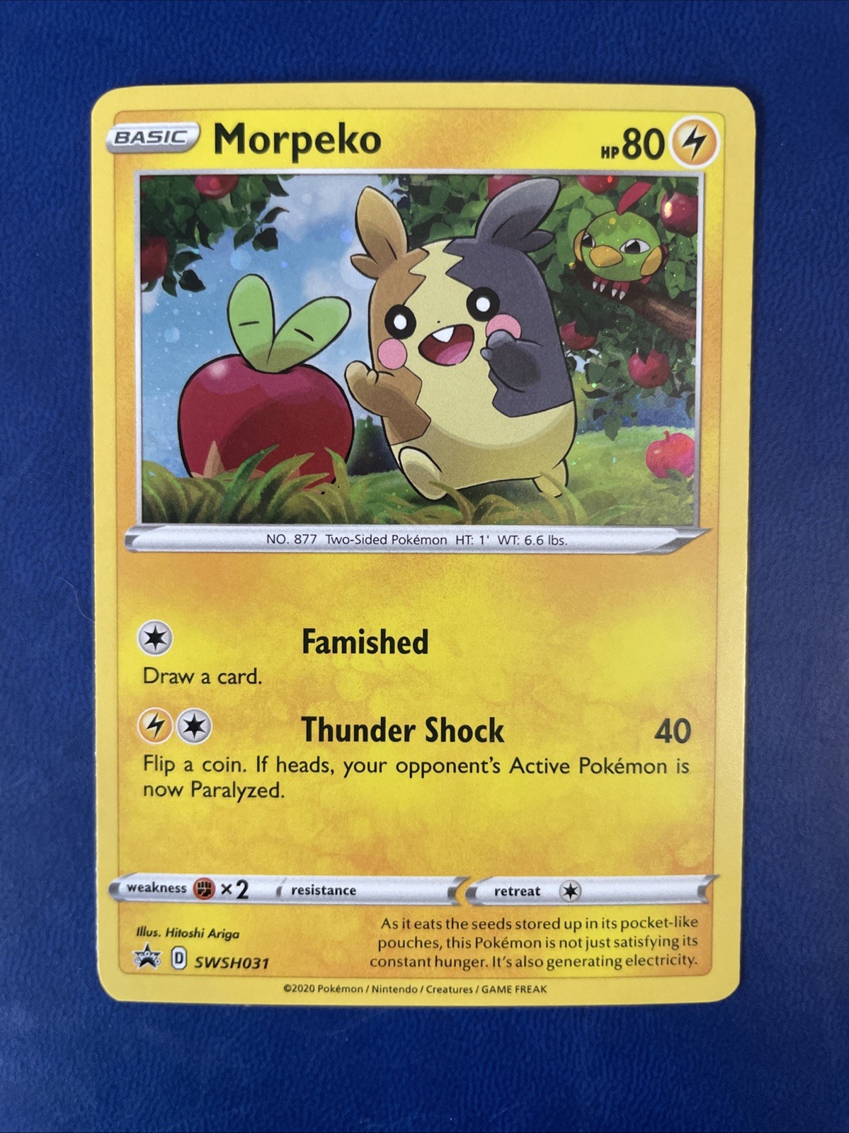 Morpeko SWSH031 Sword & Shield Black Star Promo Pokemon Card NM