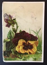 Lion Coffee Victorian Trade Card Woolson Spice Company Toledo Ohio Flowers