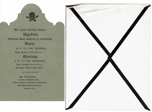 BARD COLLEGE: 29 ORIG. CYANOTYPE PHOTOGRAPHS ST. STEPHEN'S COLLEGE w/ EPHEMERA - Picture 3 of 8