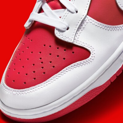 Nike Dunk Low Retro Championship Red White Shoes Men DD1391