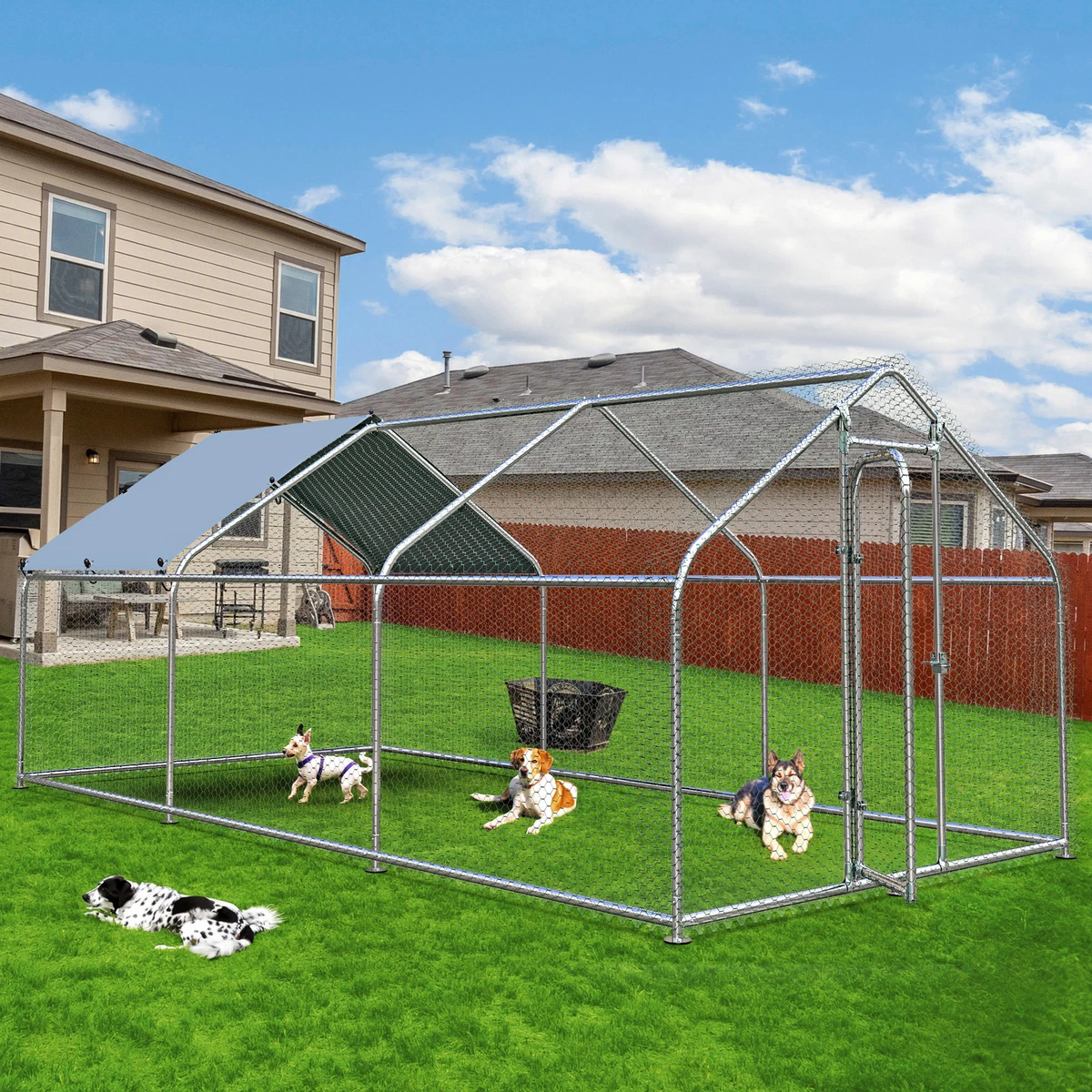 Best outdoor dog run top