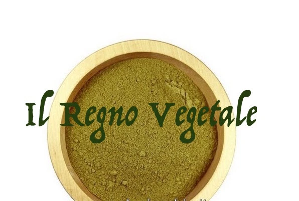 IL REGNO VEGETALE SENNA Foglie POLVERE Pura Lassativo Intestino Pigro Stipsi Cassia 100/500/1Kg