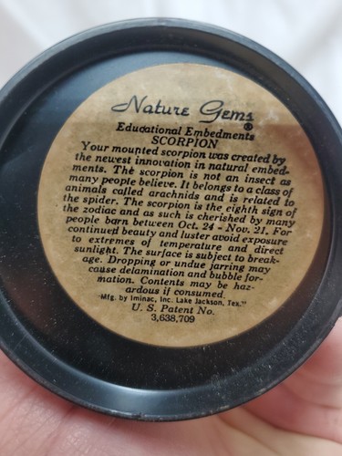 Espositore insetti vetro vintage gemme naturali scorpione incorporamento educativo anni 70 80 - Foto 9 di 11