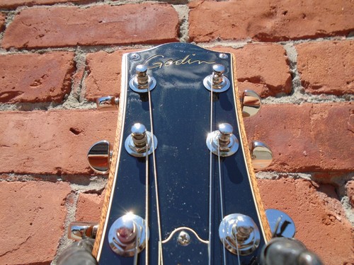 Godin Radium Winchester Brown SF - Picture 3 of 6