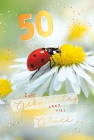 50. Geburtstag Karte Mit Briefumschlag MarienkäFer Auf BlüTe, Mit Goldfolie