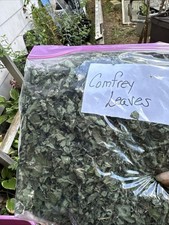 Dried Comfrey Leaves C/S 1 Oz. Bag
