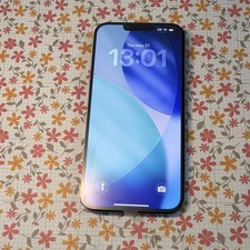 iPhone 13 Pro Max Screen Glass Replacement OLED LCD Original Apple OEM