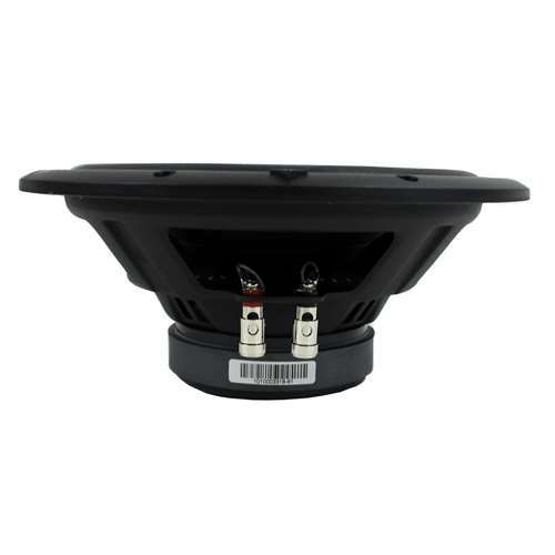 rockford fosgate r1 10 inch subwoofer