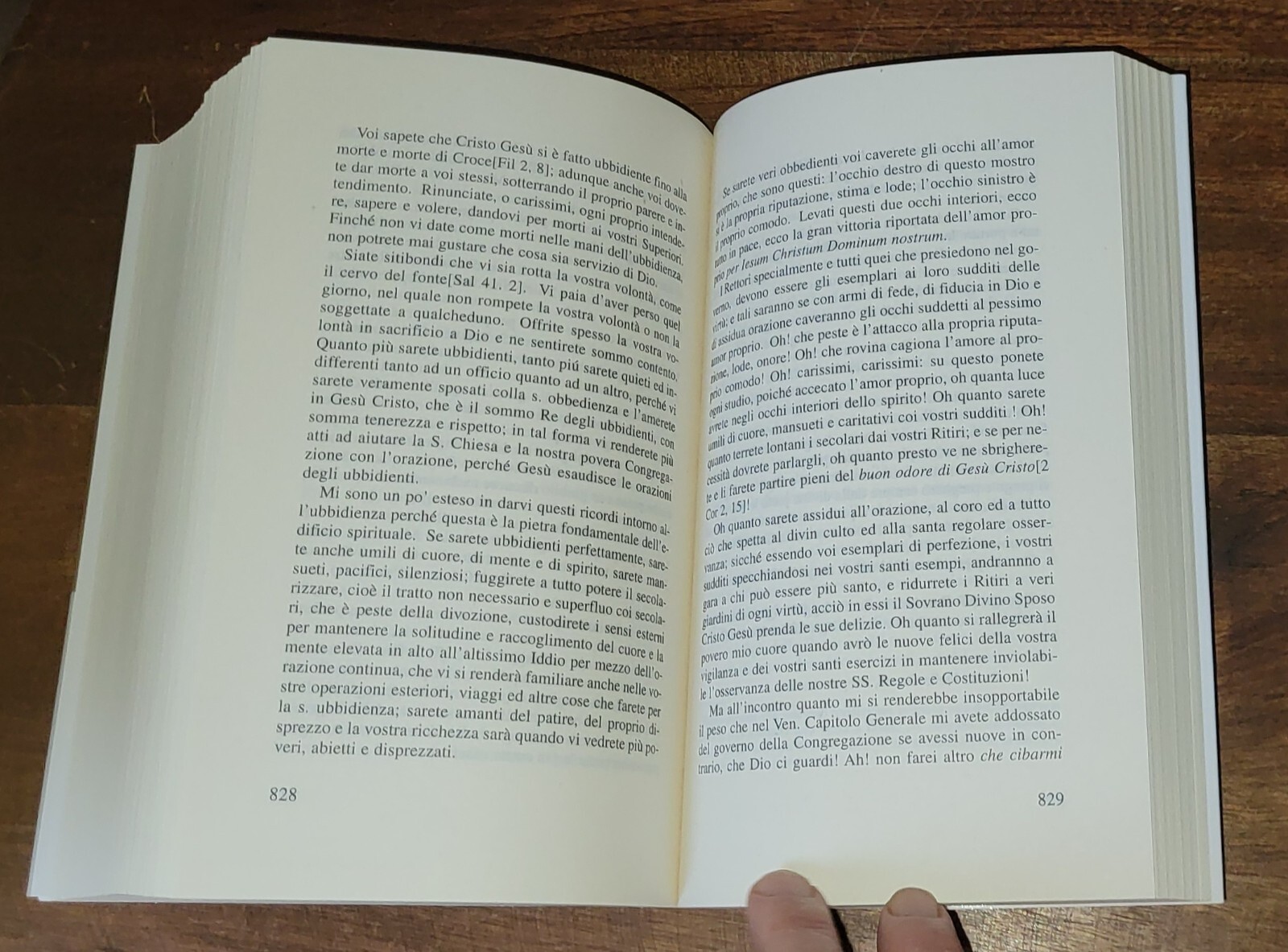 Foto 8 di 14