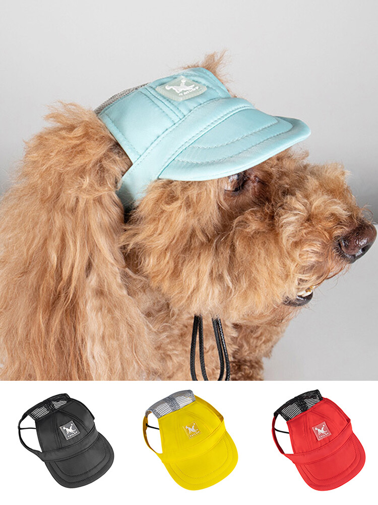 APL Cappello a rete cane outdoor Casseur De Sun Crossau baseball baseball capper 