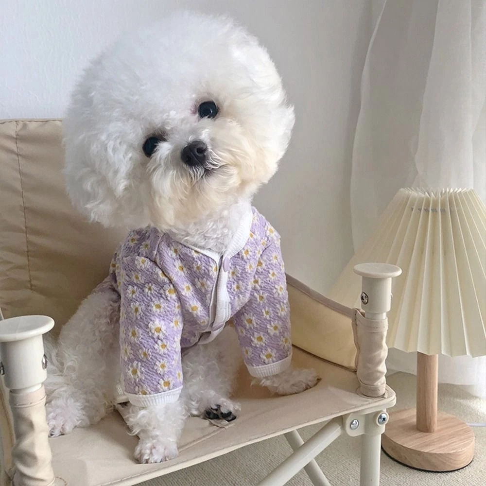 Cute dog accessories for small cheap dogs