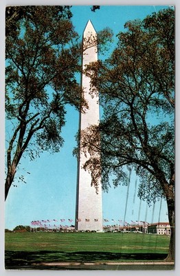 Washington Monument American Flags Washington District of Columbia Postcard