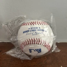 2025 New Logo Rawlings Official Minor League MiLB Baseball BRAND NEW!