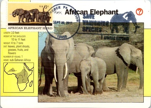 Dr Jim Stamps Maximum Card African Elephant Herd 6C Save Vanishing Species Fdc