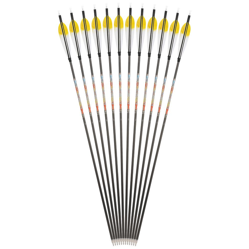 Archery 31" Pure Carbon Arrow ID6.2mm SP250-600 5'' Feathers Recurve Bow Hunting - Picture 13 of 21