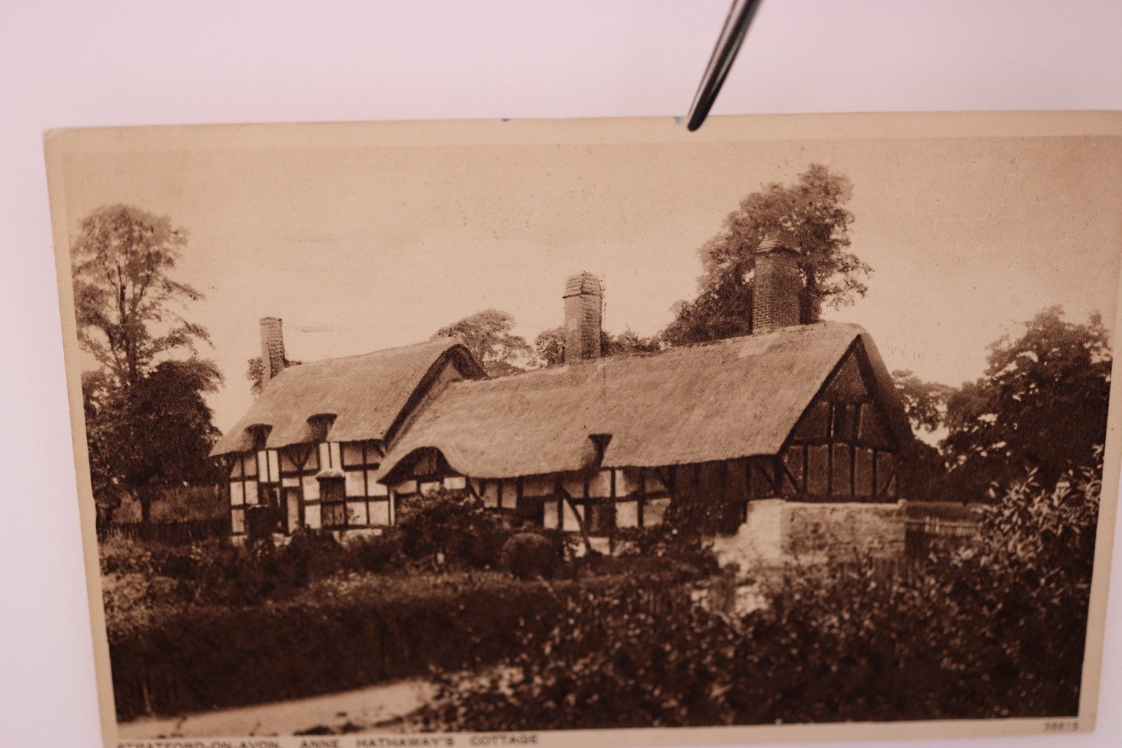 Picture 1