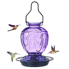 Glass Hummingbird Feeder for Outdoors Hanging,24Ozs Humming Bird Nectar Feede...