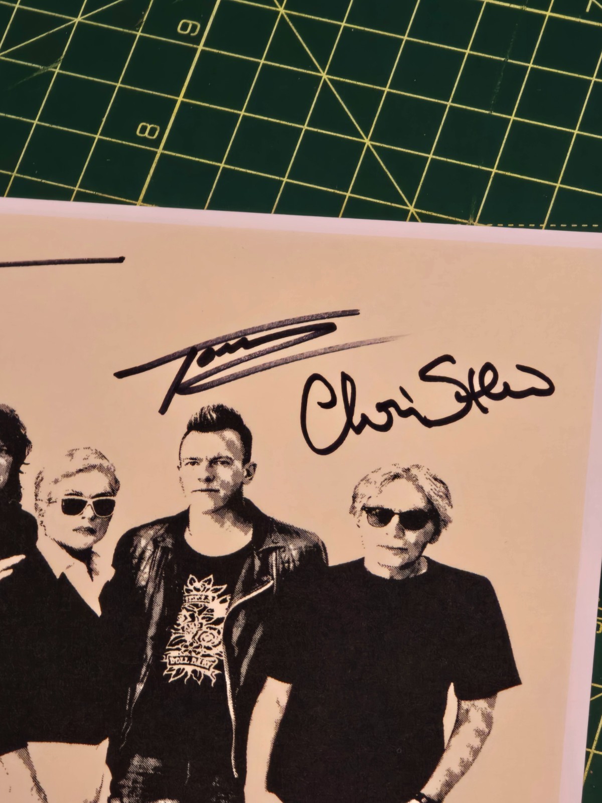 Blondie Pollinator Official Web Site only Fully Signed Print Debbie Clem Burke