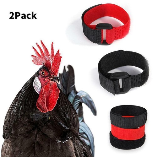 Cockerel Rooster Quiet No Crow Anti Noise Band Collar Poultry C9X3 Neck T3E1 - Picture 7 of 14