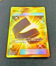 Karate Belt - 252/236 Unified Minds (Pokemon) Gold Secret Rare on eBay