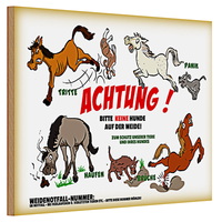 Holzschild Spruch 30X20Cm Achtung Keine Hunde Auf Weide