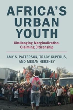 Africa's Urban Youth, Patterson, Amy S., Excellent Book