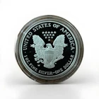 2004 American Eagle One Ounce Silver Proof Coin US Mint Certified