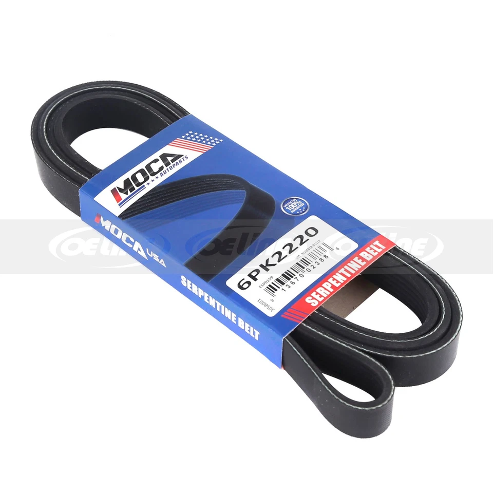 Kit de componentes de correa de transmisión Serpentine para 07-11 Ford Focus Transit Connect 2,0 L Foto 4 de 4