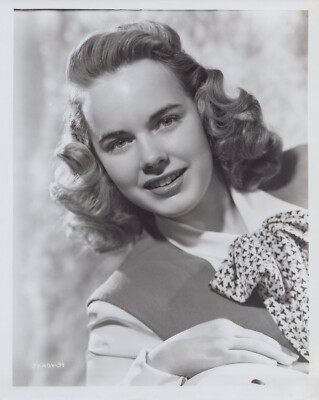 Terry Moore (1940S)   Vintage Hollywood Beauty Collectable Photo M 468