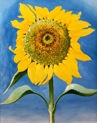 額装品/Sunflowe/ジョージア オキーフ Sunflower New Mexico 1935(ジョージア オキーフ)額装済ポスター