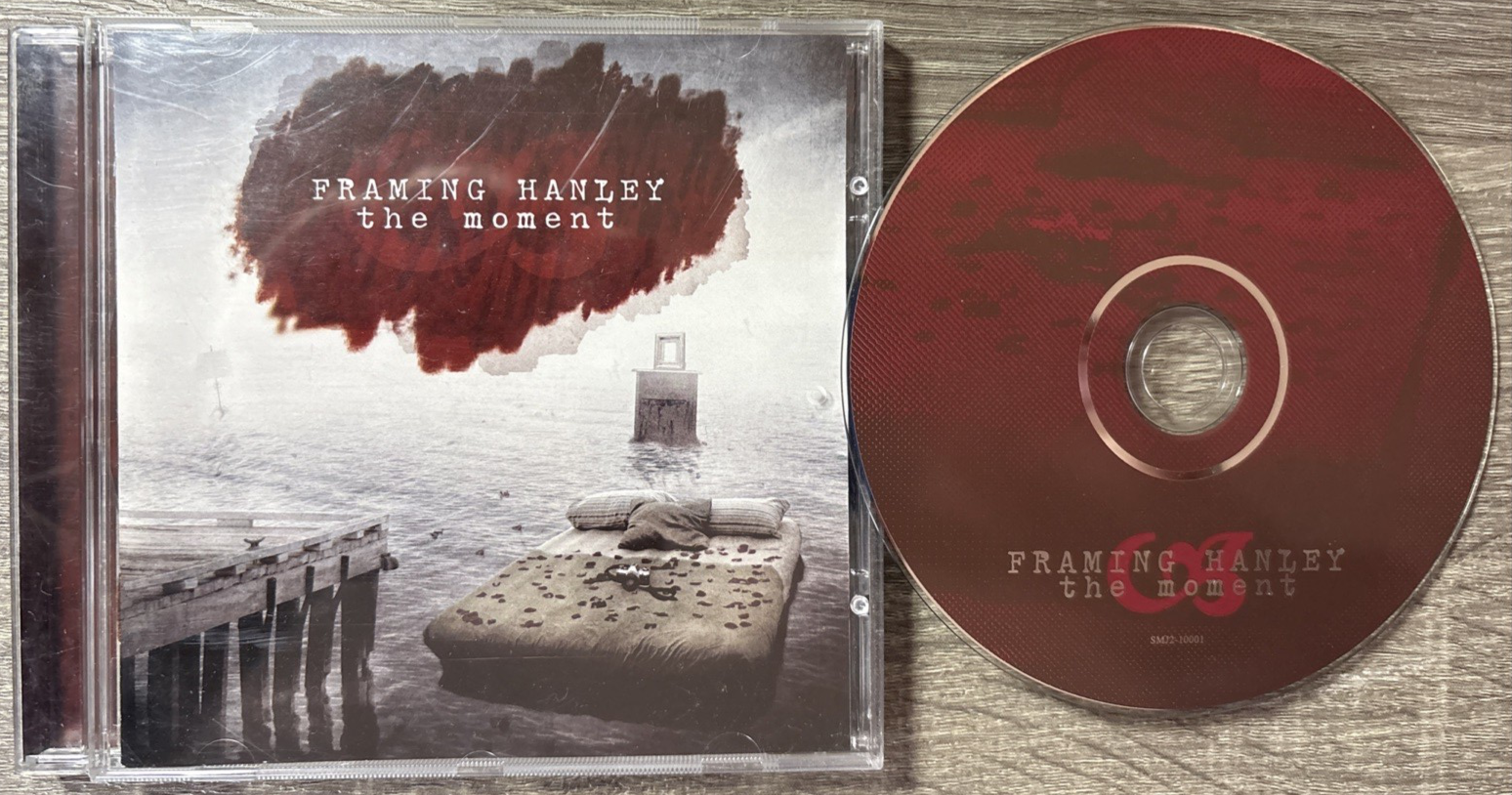 Framing Hanley - The Moment : 15 Track CD Album VGC