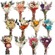12 Pack Dried Dry Floral Plant Flowers Boho Bouquet Mini Wedding Handmade Decor