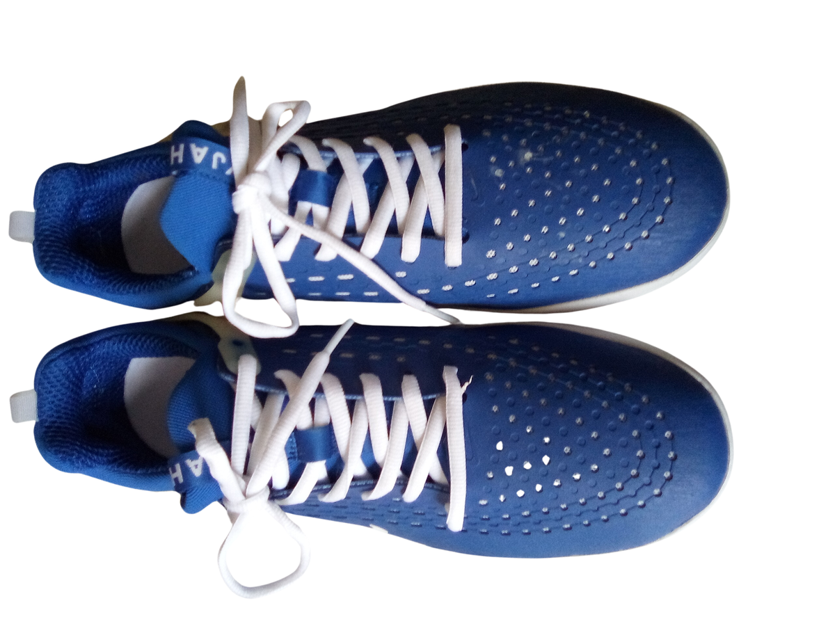 Nike Zoom Nyjah 3 SB Game Royal Men display picture 1