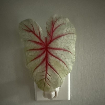 Ibis And Orchid Design Caladium Leaf Night Light New In Box Rare/Retired