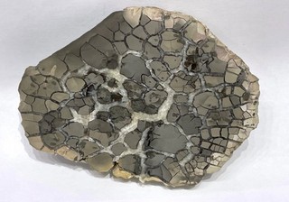 SEPTARIA polie 779 grammes Minéraux de collection curiosité