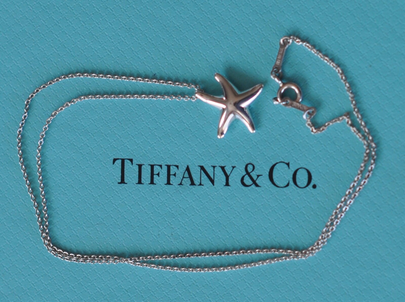 Tiffany & Co. Elsa Peretti Star Fish Pendant & Necklace 16