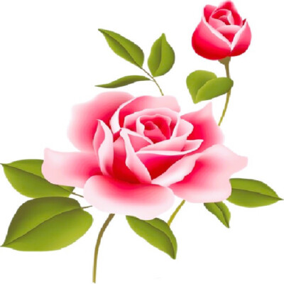 30 Custom Pink Rose Art Personalized Address Labels