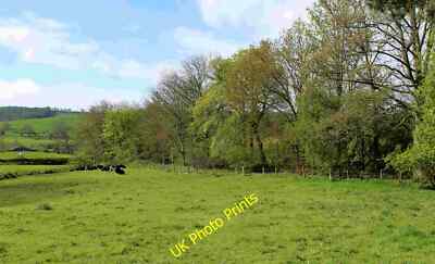 Photo 6x4 Pasture near Wensley Wensley/SE0989 Field sandwiched between t c2015