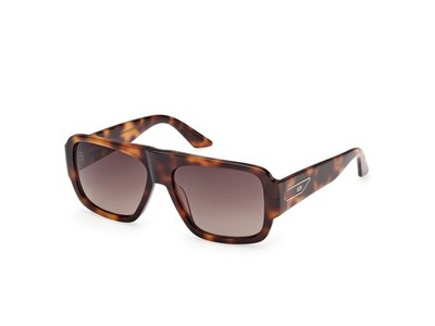 GCDS GD0069 52F  havana 56/15/145 UNISEX Sunglasses
