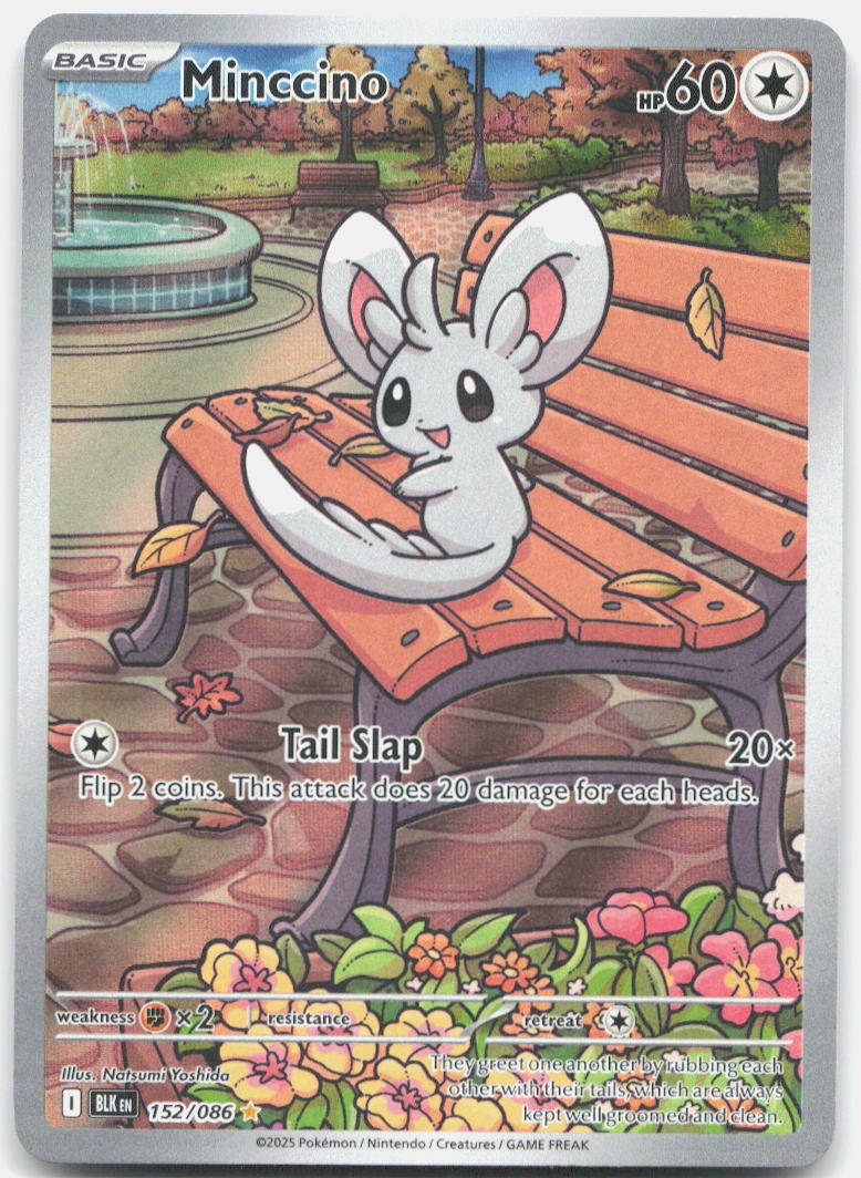 Minccino 152/086 Holo Illustration Rare Black Bolt Pokemon Near Mint