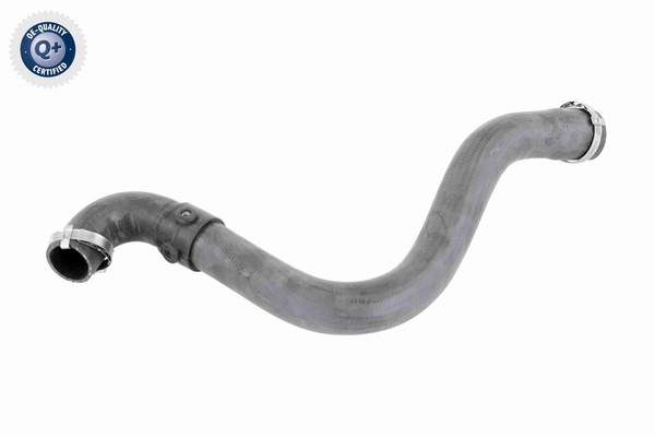 Vaico Ladeluftschlauch Turboschlauch FüR Renault Kangoo KC0/1_ 1.5 Dci FC0/1_-image