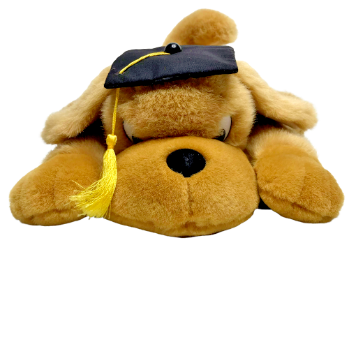 Fiesta Graduation Dog Plush Graduate Tassel Cap Gift 12