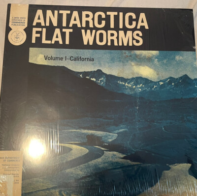FLAT WORMS ANTARCTICA VINYL LP Produced By Steve Albini Album FLATWORMS