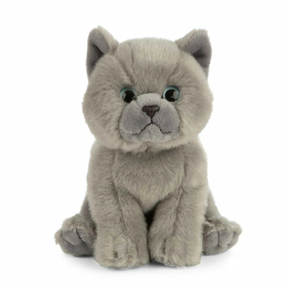 Katze grau British Krzhaar Plüschtier Stofftier Kuscheltier H=16cm Living Nature