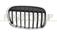 KüHlergrill KüHlergitter Schwarz Chrom FüR BMW X1 F48
